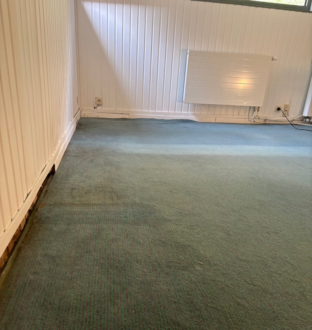 Moquette verte d’une pièce entière avant nettoyage à Wezembeek-Oppem